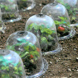 cloche protection potager