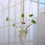vase plante aquatique
